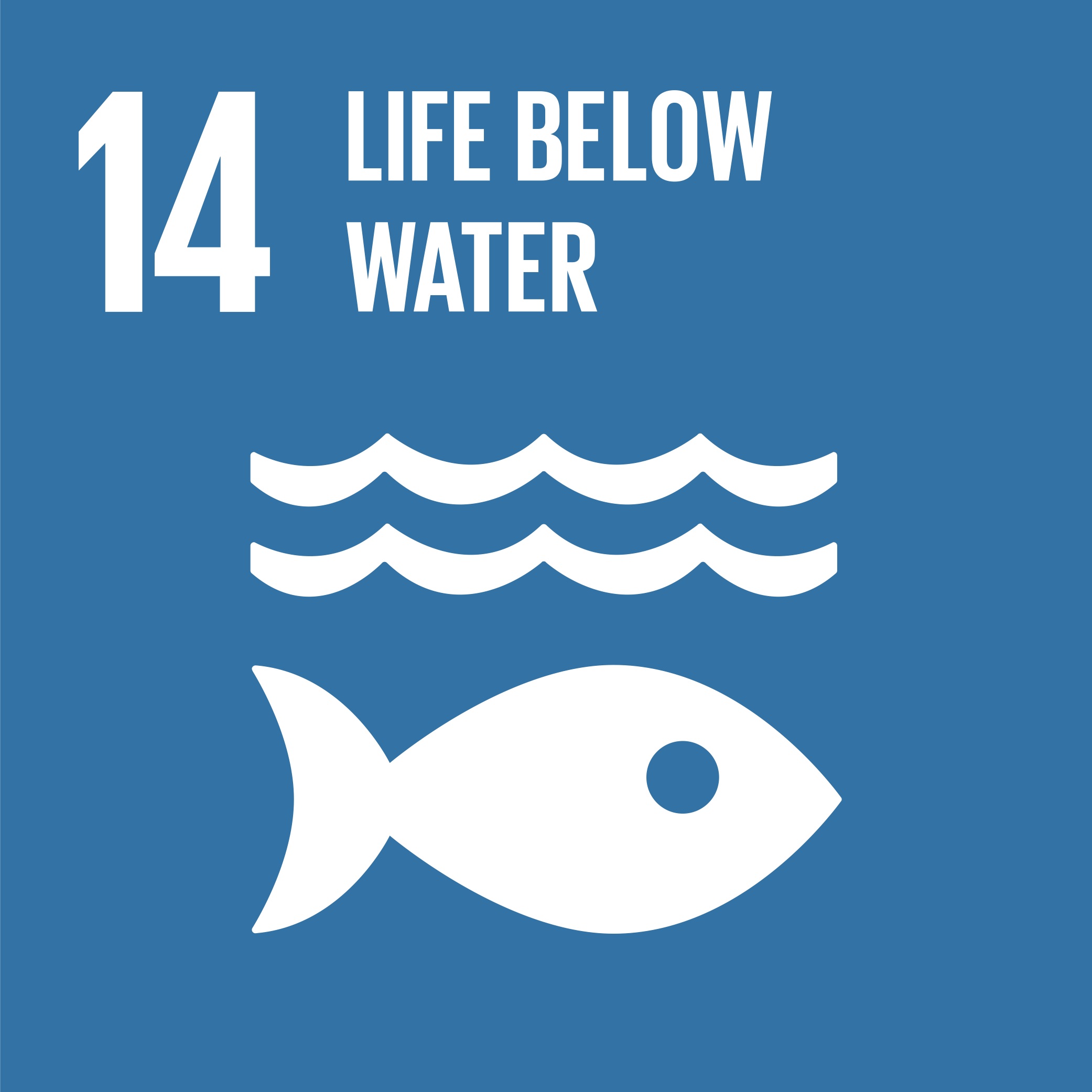 Sustainable Development Goals